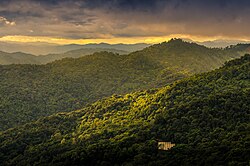 Doi Suthep-Puin kansallispuistoa