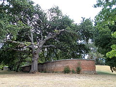 Resti dell'originale muro "ha-ha" del Beechworth Asylum visto da fuori