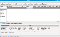 Deluge进行一个下载任务时的截图。