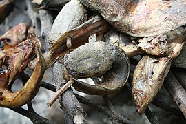 Poissons fumés de la Tapoa