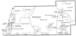 Kaart van Pasco County