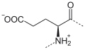 Deutsch: Struktur von Protein-Glutamyl English: Structure of protein glutamyl