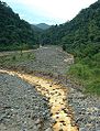 Río Súcio in Braulio Carrillo National Park, Vázquez de Coronado Canton, Costa Rica.