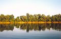 The Tisza at Szeged