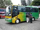 Trans Jogja Bus. Un sistema de pulman svelt int la cità de Yogyakarta
