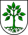 Wappen von Grossourl Großarl