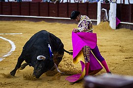 Corrida de toros