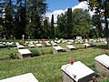 Military graves at Haydarpaşa Mezarlığı