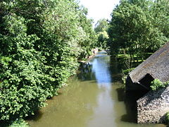 Chemiré-sur-Sarthe - Grande Boire du Rossignol.jpg