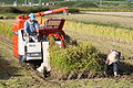 Un recolector de arroz de Kubota en acción