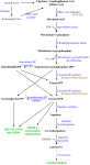 Neue Vektorgrafik