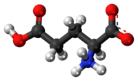 Ball-and-stick model of the zwitterion