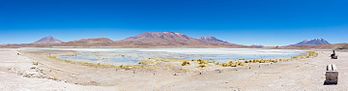 Vista panorâmica da Laguna Hedionda, província de Nor Lípez, sudoeste da Bolívia. A lagoa está situada a 4 121 metros de altitude e ocupa uma área de 3 km². (definição 13 769 × 3 587)