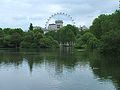 The London Eye, from St. James's Park, looking beyond Horse Guards.