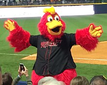 A person wearing a red anthropomorphized rooster costume dressed in a black baseball jersey with "Music City" written across the chest in red letters dances on a baseball dugout