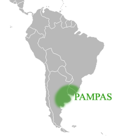 Ranh giới khu vực tự nhiên gần đúng của Pampa ở Đông nam của Nam Mỹ, bên bờ Đại Tây Dương