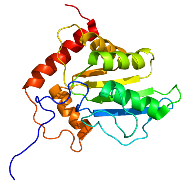 Protein APOBEC3G PDB 2JYW