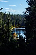 Svartdalstjerna Lakes Primeval Forest Nature Reserve of the Totenaasen Hills in Norway 26.jpg