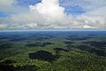 Vista de la selva amazónica.