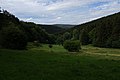 Talgrund zwischen Sängelberg (links) und Pfaffenrod (rechts); in der Mitte am Horizont der Pferdskopf, davor der östliche Ausläufer des Judenkopfs.