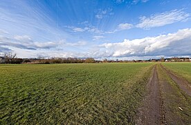 Floodplain in Vach LSG Rednitz-, Pegnitz- und Regnitztalsystem 2023-02-19 37.jpg