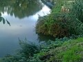 La foce del torrente nel fiume Arno