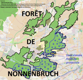 Image illustrative de l’article Forêt de Nonnenbruch