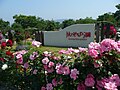 Kanoya Rose Garden, Japan