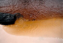 Laguna de Canaima (2004) 13.jpg