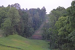 Wooded fields on Lew Martin Road