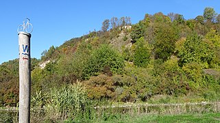 Blick von dem Werratal-Radweg auf den Weinberg