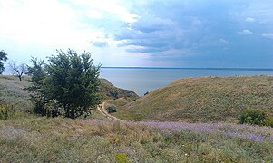 Поблизу Ніконія