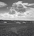 Kfar Saba immigrant housing 1945