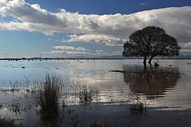 20100215 Vistonida Lake Xanthi Prefecture Thrace Greece.jpg