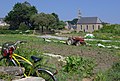 Grønnsakshage i Bretagne