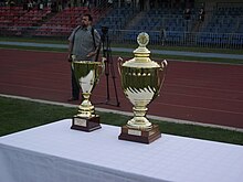 Budapest fa cup.JPG