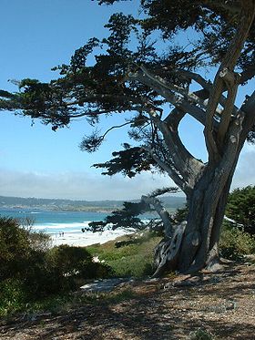 Carmel-by-the-Sea