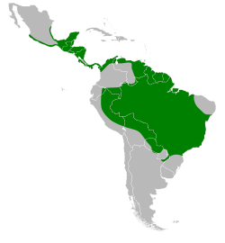 Distribución geográfica del martinete cucharón.