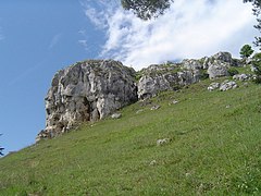 Felsen am Alpinensteig - geo.hlipp.de - 2437.jpg