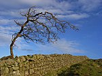 Hadrian's Wall Milecastle and Turret