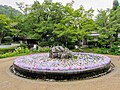 具足池の紫陽花