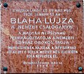 Blaha Lujza