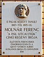 Molnár Ferenc