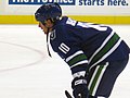 Ryan Johnson, Abbotsford Canucks