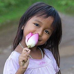 Une jeune Laotienne tenant, dans sa main, un bourgeon de lotus sacré (Nelumbo nucifera). (définition réelle 4 480 × 4 480)