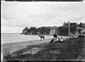 View of the eastern end of St Heliers Bay. Photographed by William Archer Price between 1910 and 1930.