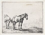 Twee paarden in een landschap