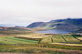 Parcelles agricoles et fjord à Tassikuluulik.