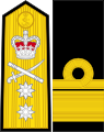 英國皇家海軍少将肩章及袖章