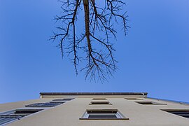 Haus-Südfassade mit Baum, 2017, Kössener Str. 13, München.jpg
